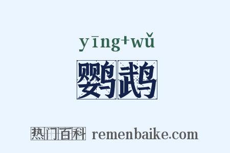 鹦鹉是什么意思的图片
